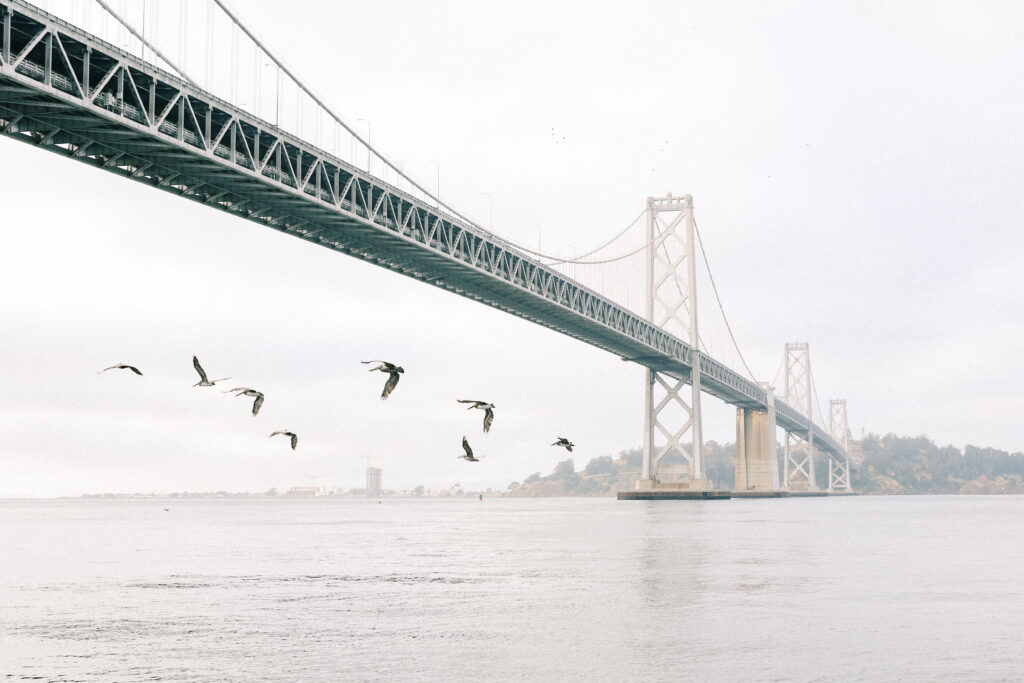 San Francisco Sailboat Elopement Wedding by LivByGrace Photography Destination Wedding Photographer