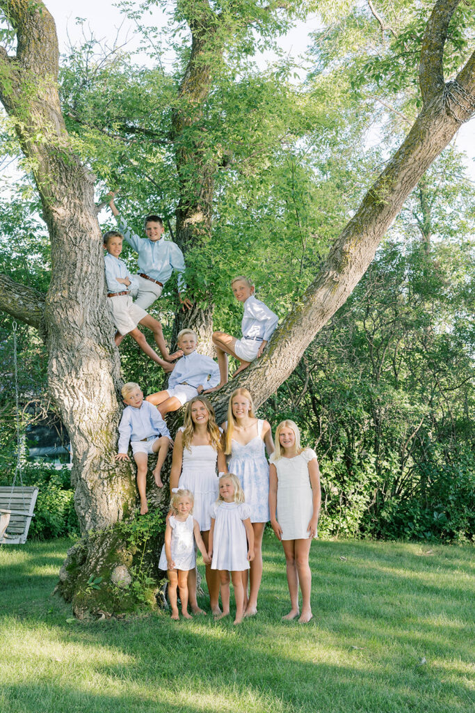 Family Portraits, siblings posing in a tree