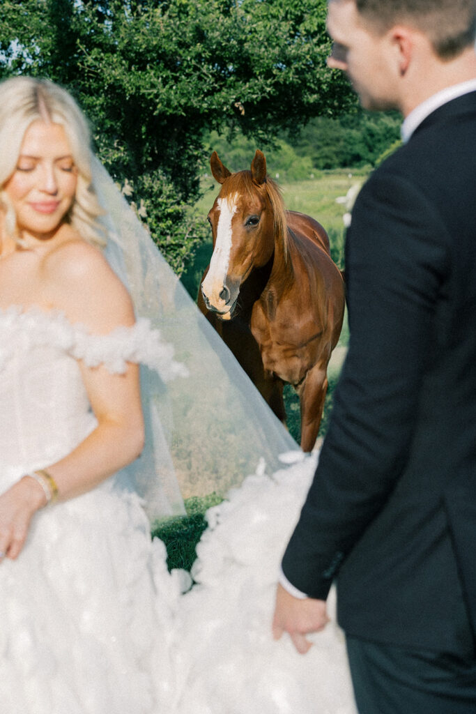 bride and groom portrait 