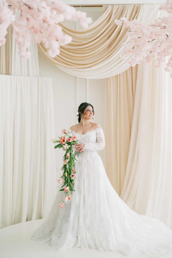 bridgerton styled shoot