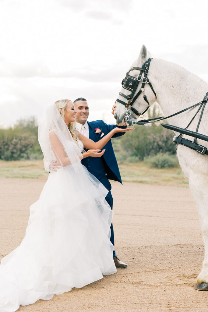 bride and groom portrait in the desert