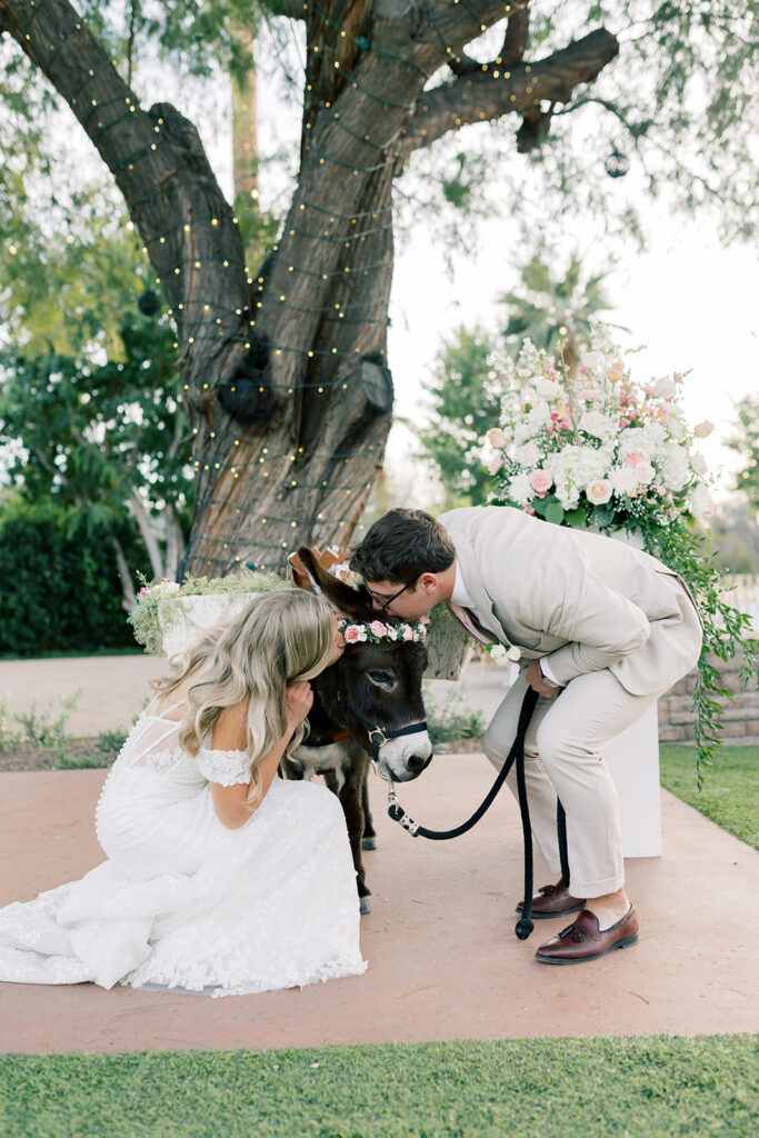 bride and groom portrait