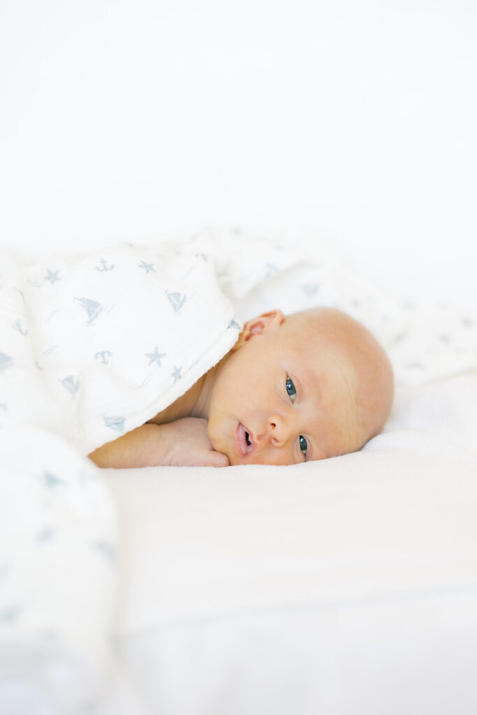 newborn portrait
