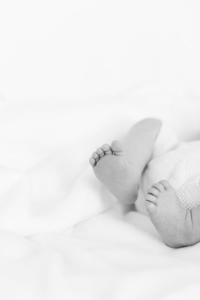 black and white newborn portrait feet