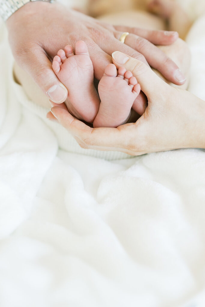 newborn feet portrait