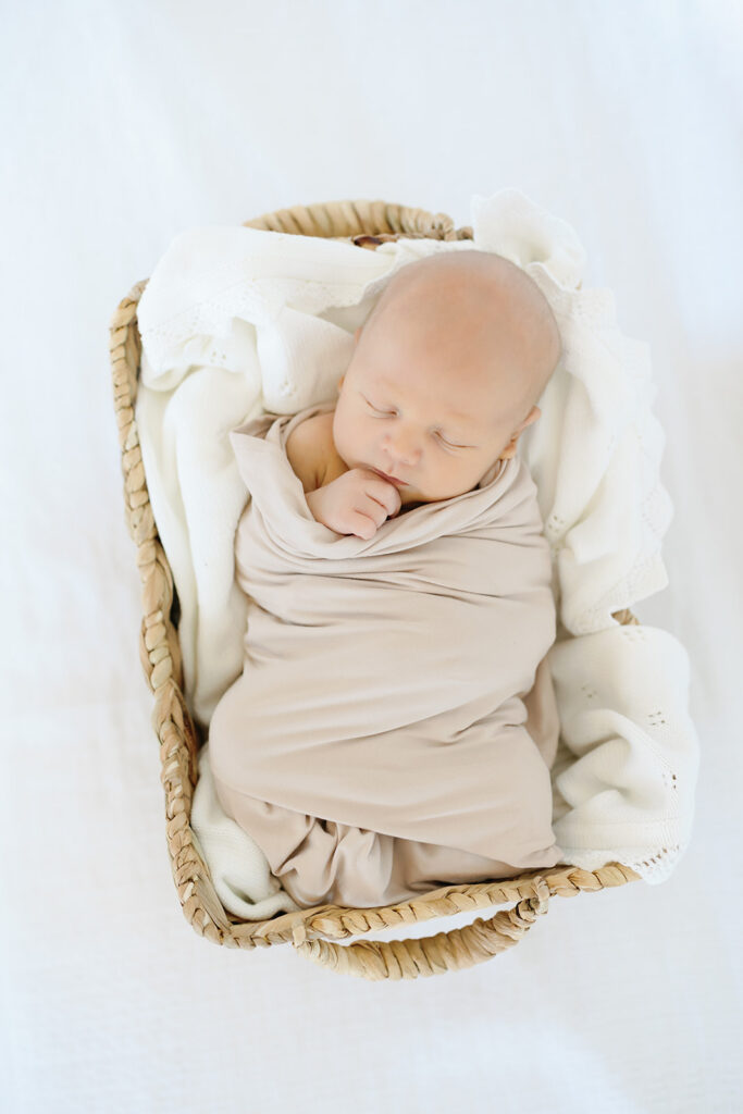 newborn portrait basket